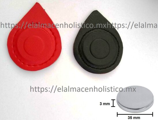 204 - PAR DE IMANES DE NEODIMIO 35x3 13800 G.