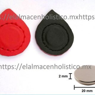 207 - PAR DE IMANES DE NEODIMIO 20x2 12000 G.