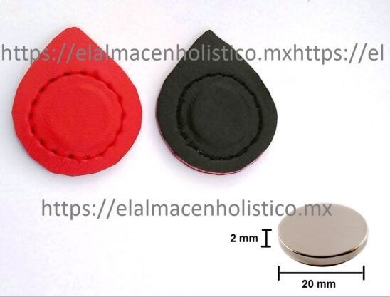 207 - PAR DE IMANES DE NEODIMIO 20x2 12000 G.