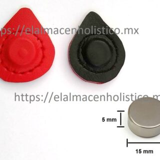208 - PAR DE IMANES DE NEODIMIO 15x5 12000 G.