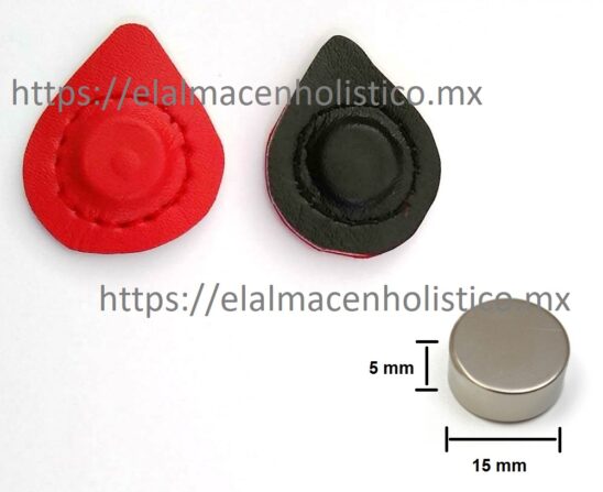 208 - PAR DE IMANES DE NEODIMIO 15x5 12000 G.
