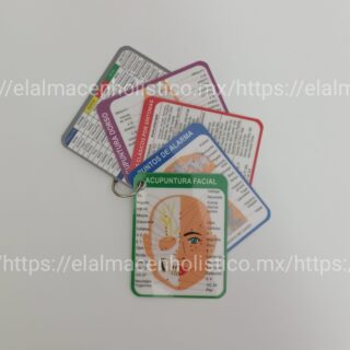 KIT DE TARJETAS DE PUNTOS DE ACUPUNTURA - 20149