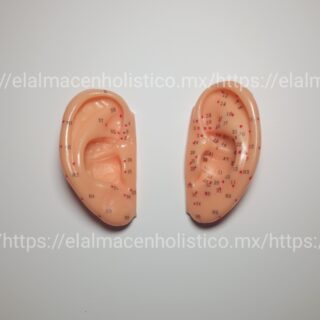 MODELO OREJA CHICA PAR (7.5 cm) - 20154