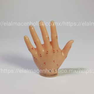 MODELO MANO DE ACUPUNTURA (7 cm) - 20158