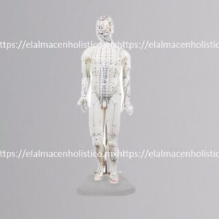 MODELO ACUPUNTURAL (50 cm) BASE DE PLASTICO - 20162