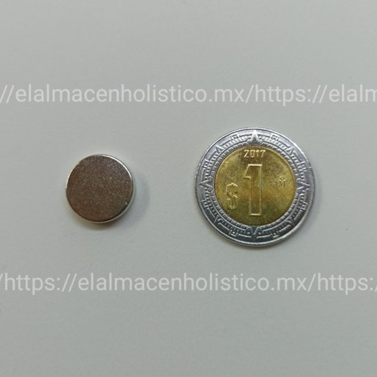 310 - IMAN DE NEODIMIO SIN FORRO 15x5 12000 G. (5 PIEZAS) - Image 2