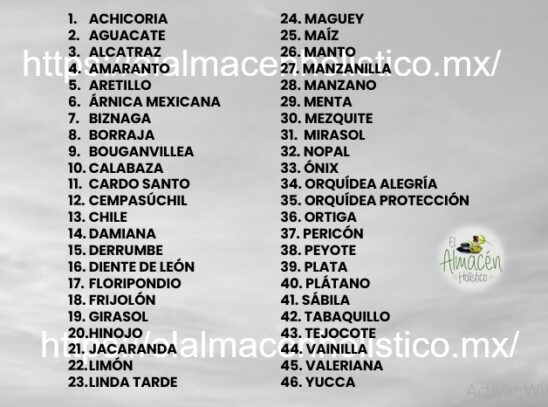 0 KIT COMPLETO DE ELIXIRES AZTECAS - Image 3