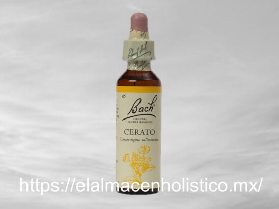 CERATO