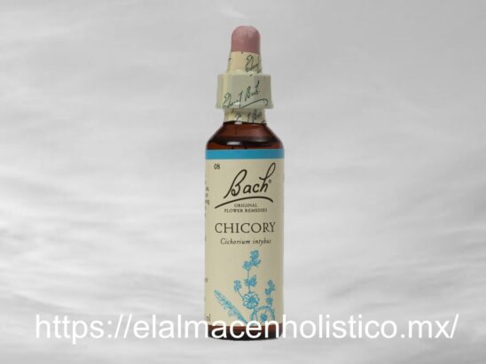 CHICORY