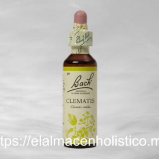 CLEMATIS