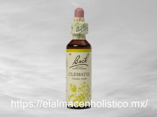 CLEMATIS