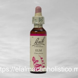 ELM