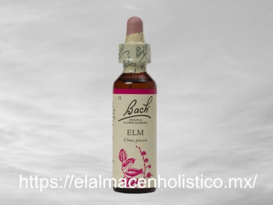ELM