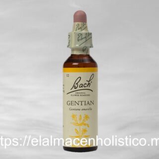 GENTIAN