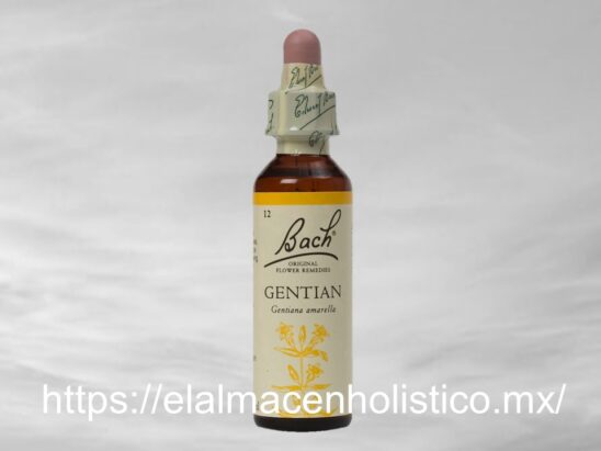 GENTIAN
