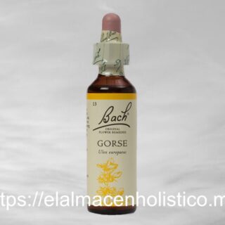 GORSE