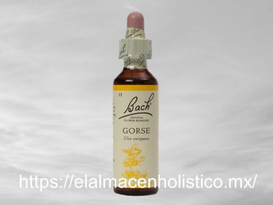 GORSE