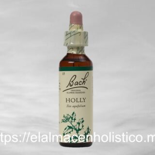 HOLLY