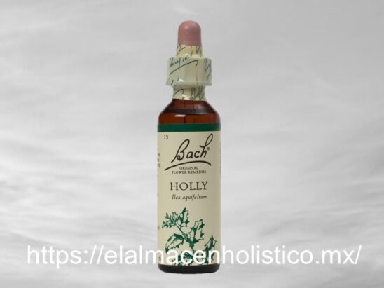 HOLLY