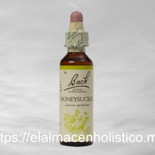 HONEYSUCKLE