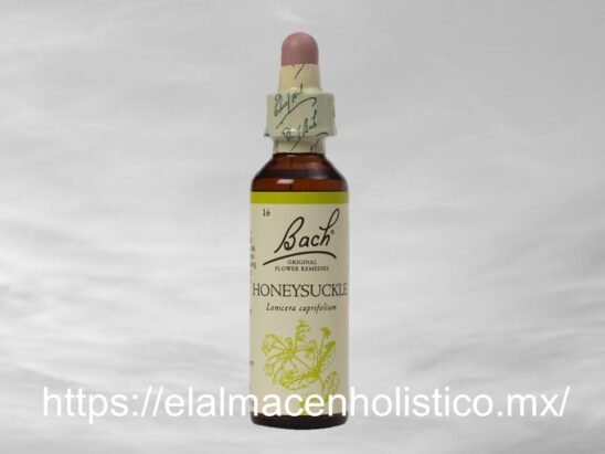 HONEYSUCKLE