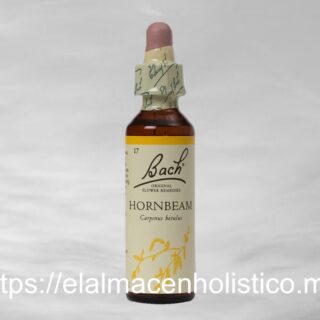 HORNBEAM