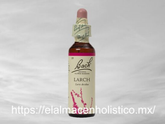LARCH