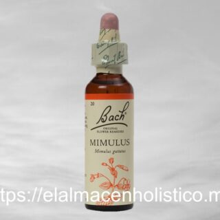 MIMULUS
