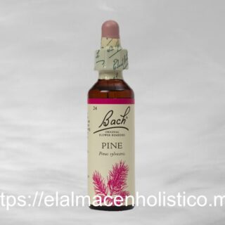 PINE