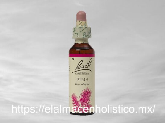 PINE