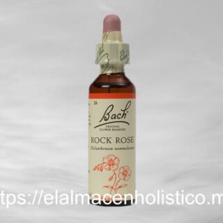 ROCK ROSE