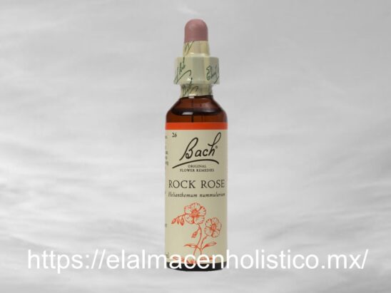 ROCK ROSE