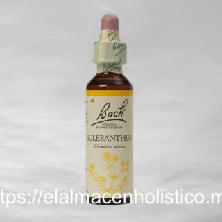 SCLERANTHUS
