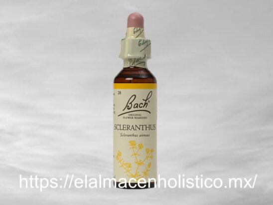 SCLERANTHUS