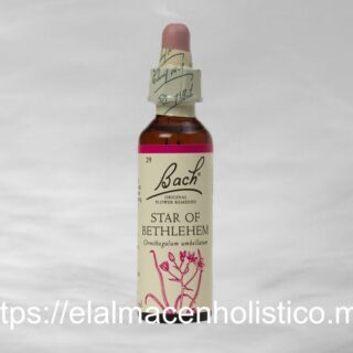 STAR OF BETHLEHEM