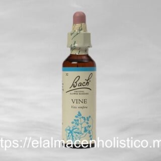 VINE