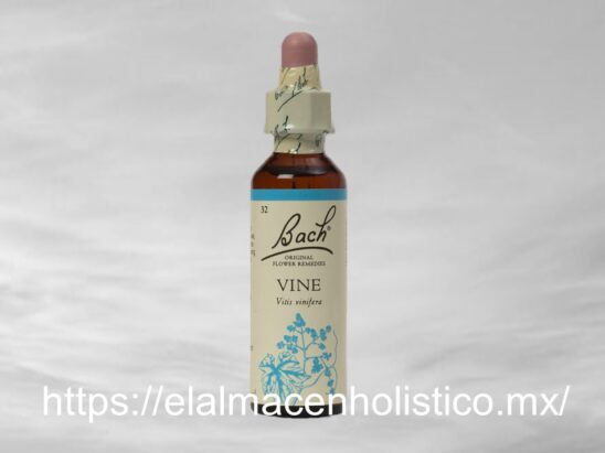 VINE