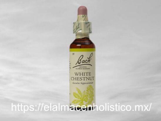 WHITE CHESTNUT