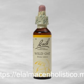 WILD OAT