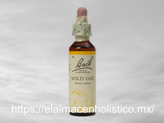 WILD OAT
