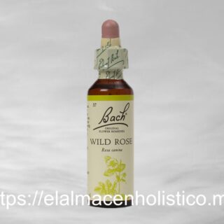 WILD ROSE
