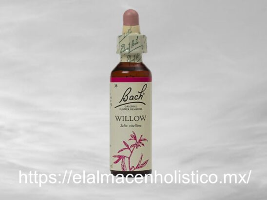 WILLOW