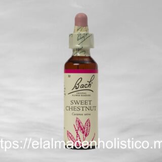 SWEET CHESTNUT