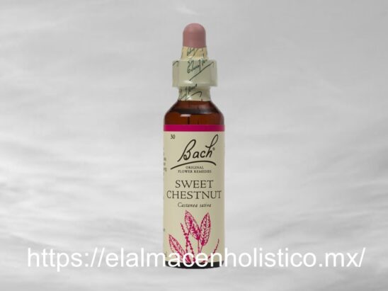 SWEET CHESTNUT