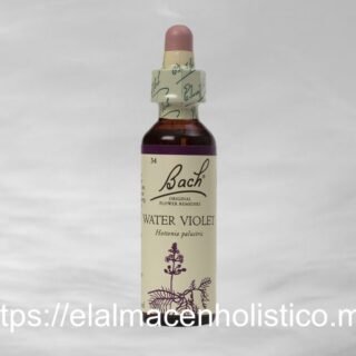 WATER VIOLET
