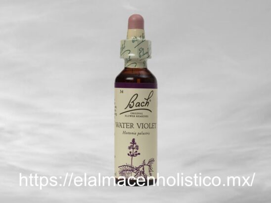 WATER VIOLET