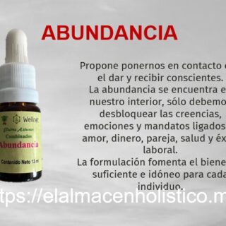 ELIXIR COMBINADO ABUNDANCIA 13 ml