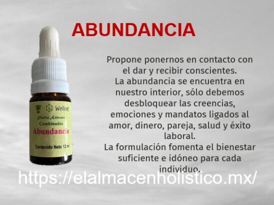 ELIXIR COMBINADO ABUNDANCIA 13 ml