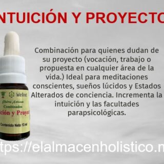 ELIXIR COMBINADO INTUICION Y PROYECTO 13 ml