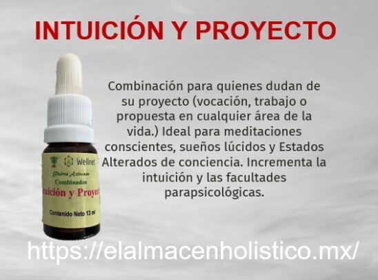 ELIXIR COMBINADO INTUICION Y PROYECTO 13 ml